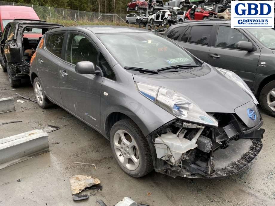 Nissan Leaf, 2011-2017 (Type I) (295B03NL0B)