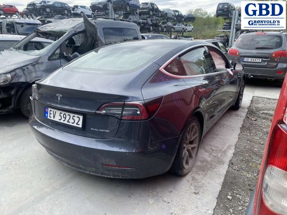 Tesla Model 3, 2018-2023 (Fase 1) (TESLA|1120960-00-F)