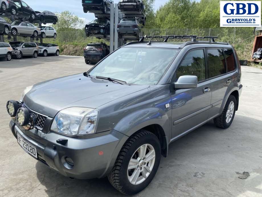 Nissan X-Trail, 2002-2007 (T30) (F5100EQ0MM)