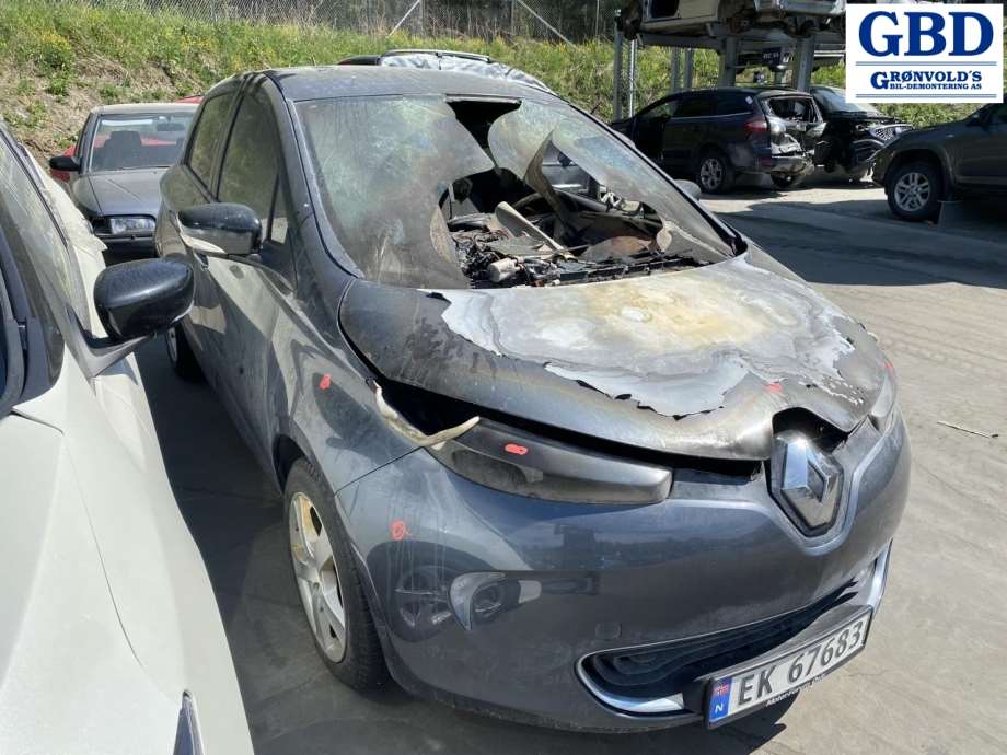 Renault Zoe, 2013-2019 (Fase 1) (963021816R)