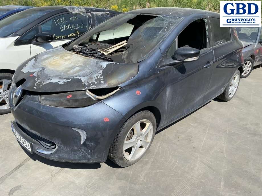 Renault Zoe, 2013-2019 (Fase 1) (963021816R)