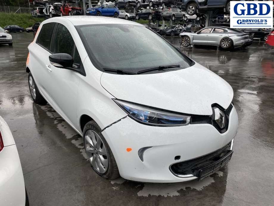 Renault Zoe, 2013-2019 (Fase 1) (265554013R)