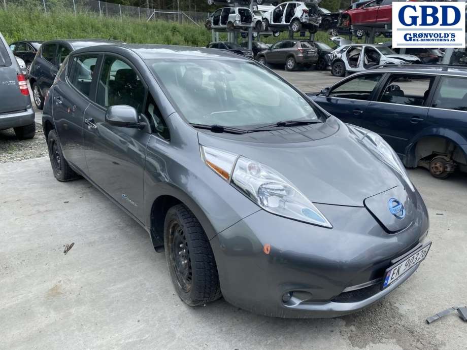 Nissan Leaf, 2011-2017 (Type I) (260109RB0A)