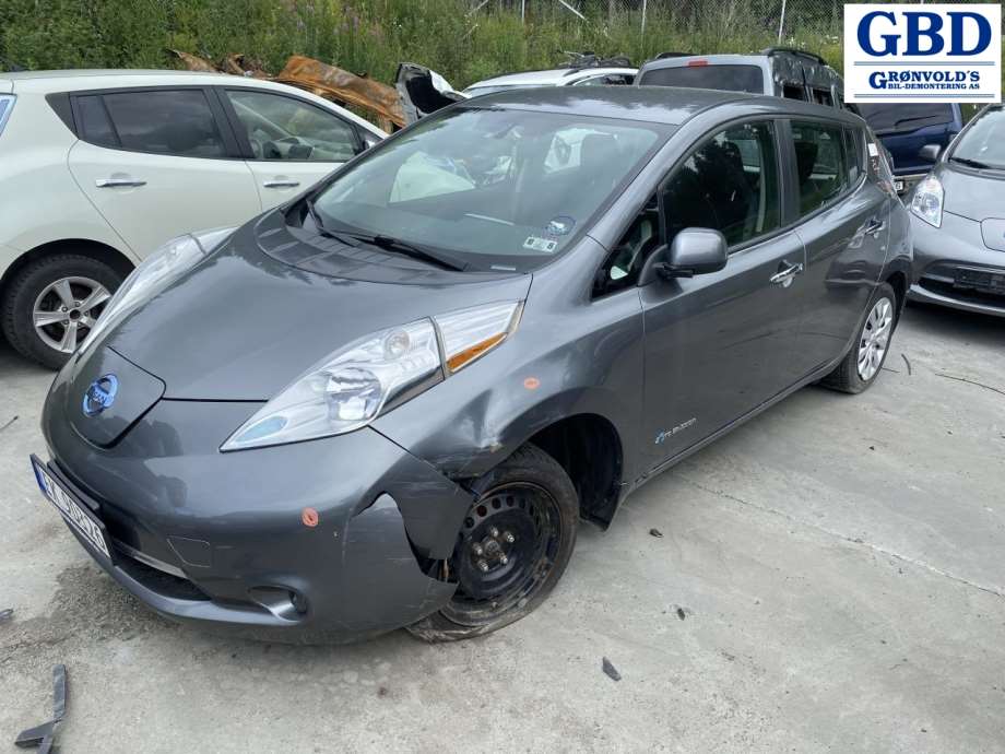 Nissan Leaf, 2011-2017 (Type I) (260109RB0A)