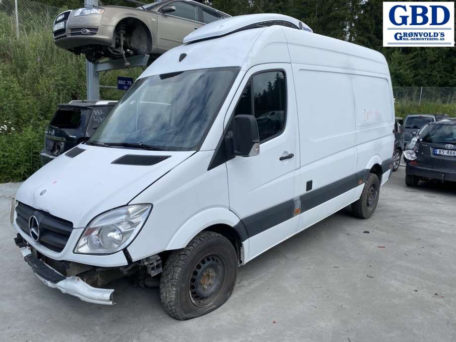 Mercedes Sprinter, 2006-2013 (906, Fase 1) (A 906 620 02 10)