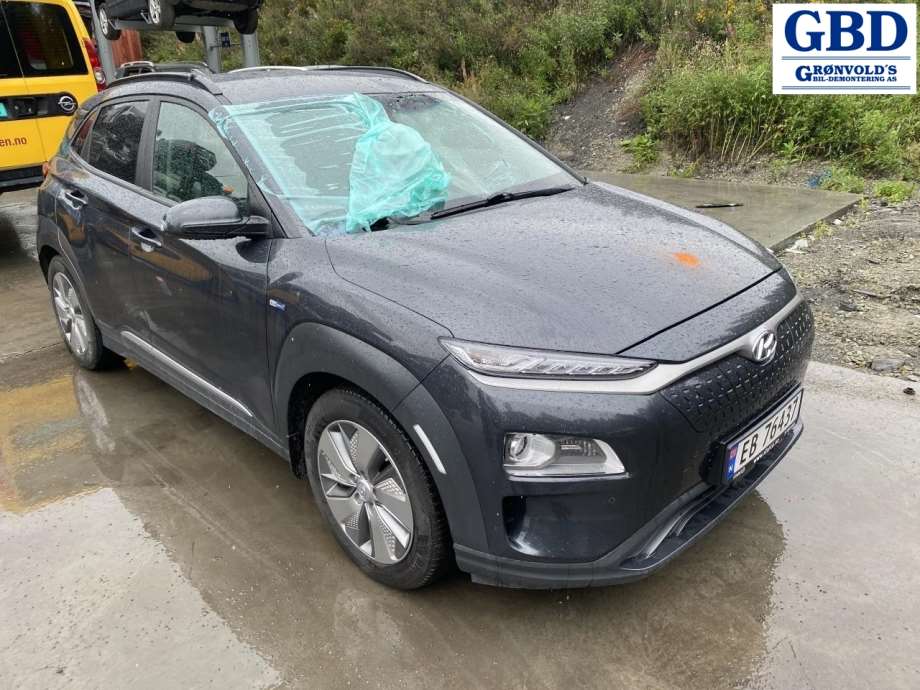 Hyundai Kona, 2017-2021 (Type I, Fase 1) (91675DD010)