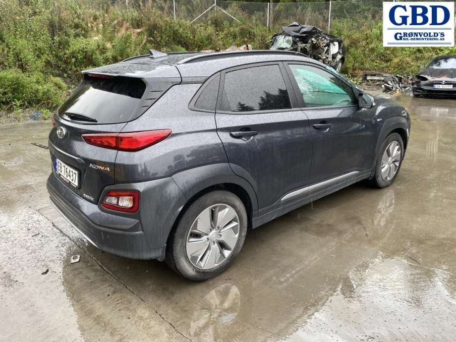 Hyundai Kona, 2017-2021 (Type I, Fase 1) (91675DD010)