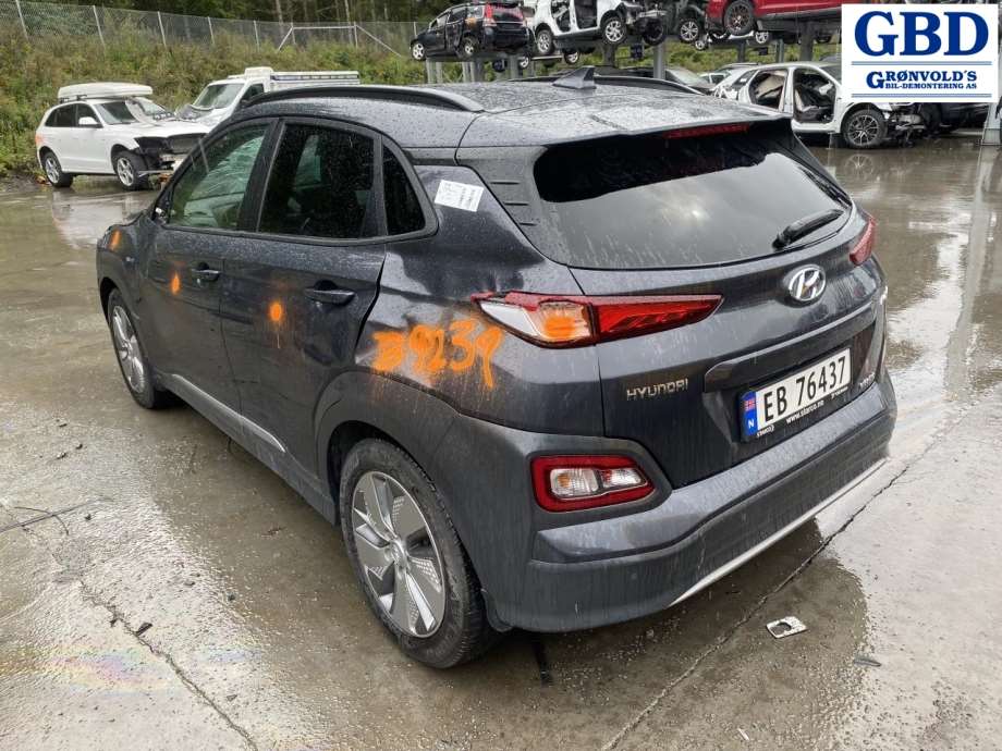 Hyundai Kona, 2017-2021 (Type I, Fase 1) (91675DD010)