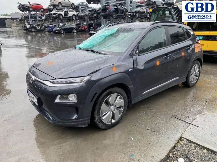 Hyundai Kona, 2017-2021 (Type I, Fase 1) (91675DD010)