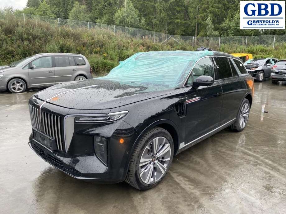 Hongqi E-HS9, 2022- (SORT OG HVITT SKINN)