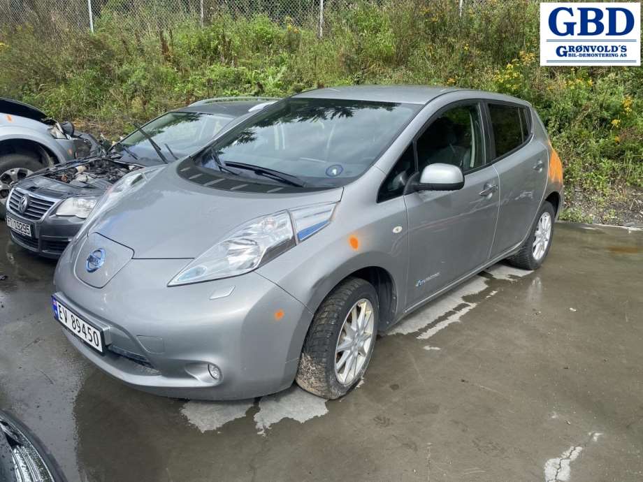 Nissan Leaf, 2011-2017 (Type I) (265503NL0B)