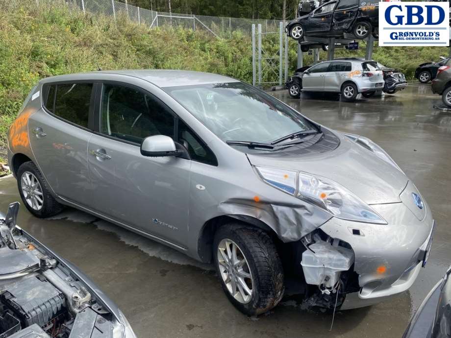 Nissan Leaf, 2011-2017 (Type I) (265503NL0B)