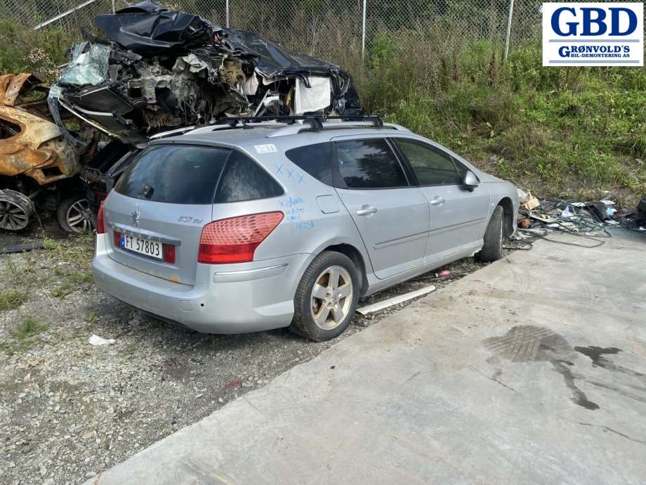 Peugeot 407, 2004-2010 (8153 ZE)