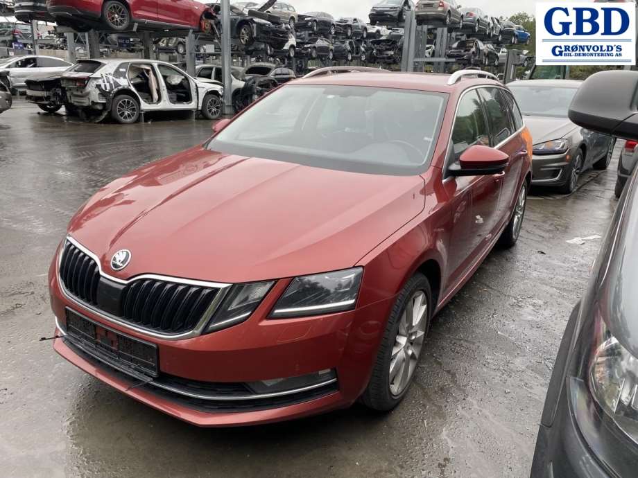 Škoda Octavia, 2017-2020 (Type III, Fase 2)(|5E1 941 016 E)