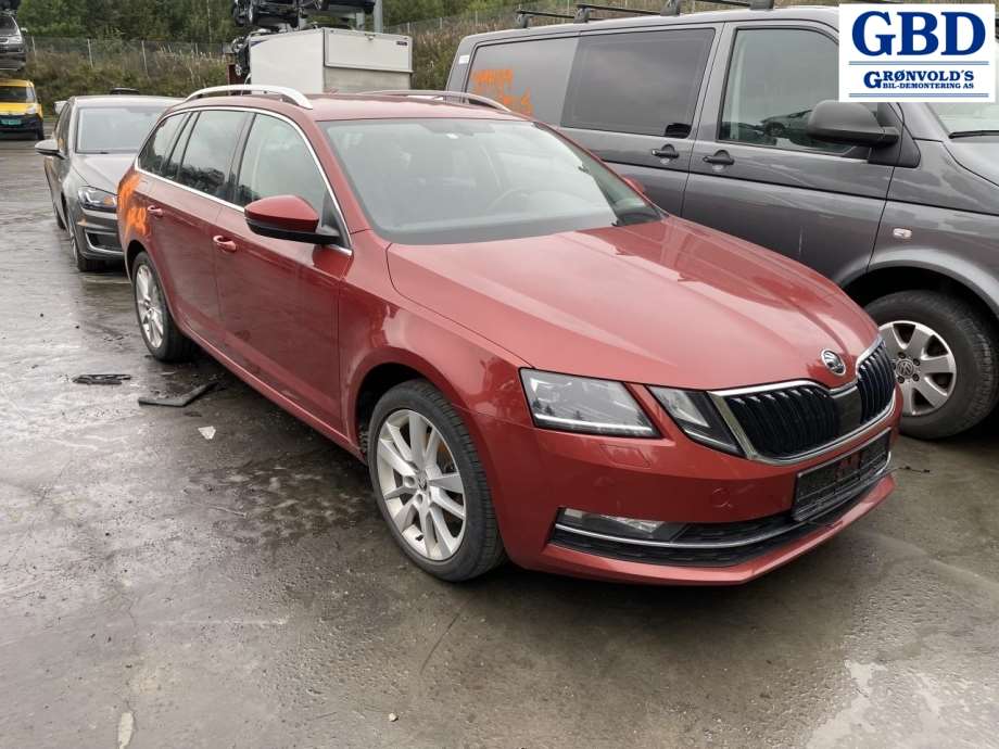 Škoda Octavia, 2017-2020 (Type III, Fase 2) (5Q4 959 593 E|5QL 959 593 E)