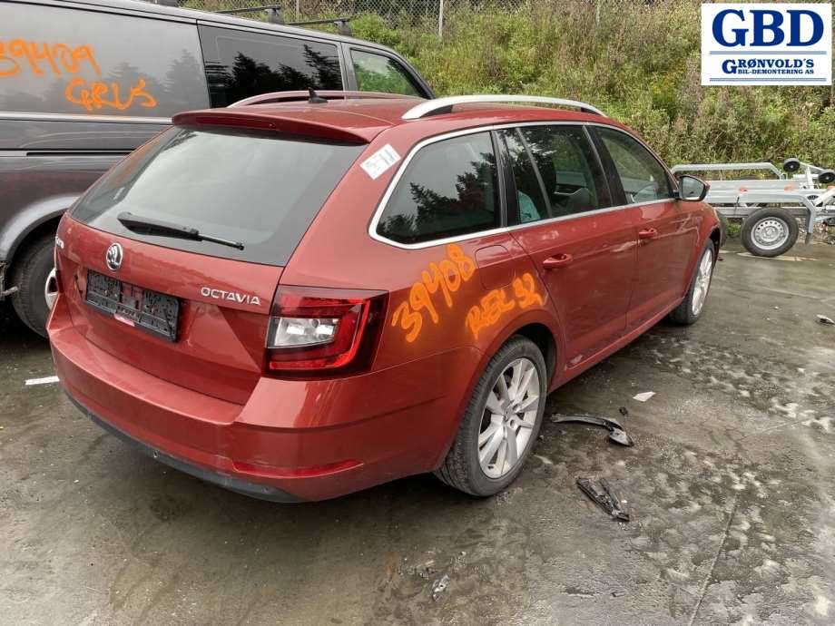 Škoda Octavia, 2017-2020 (Type III, Fase 2) (5Q4 959 593 E|5QL 959 593 E)