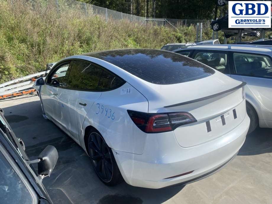 Tesla Model 3, 2018-2023 (Fase 1) (1120960-10-G)