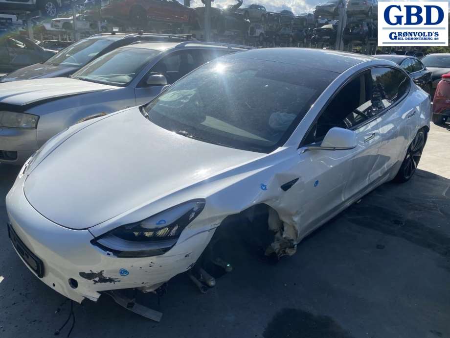 Tesla Model 3, 2018-2023 (Fase 1) (1120960-10-G)