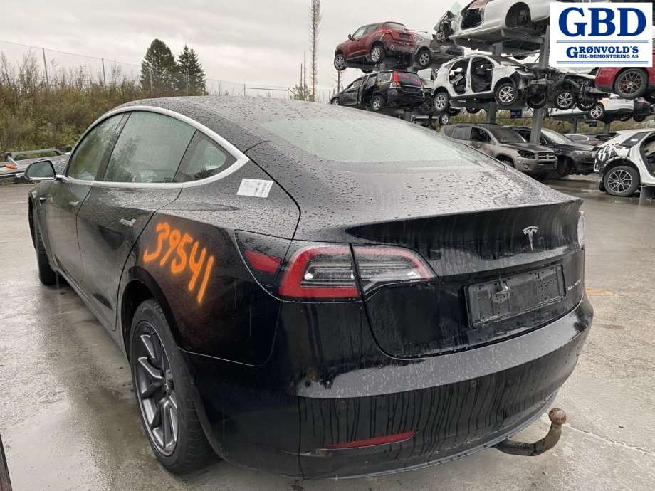 Tesla Model 3, 2018-2023 (Fase 1) (1490405-41-D)