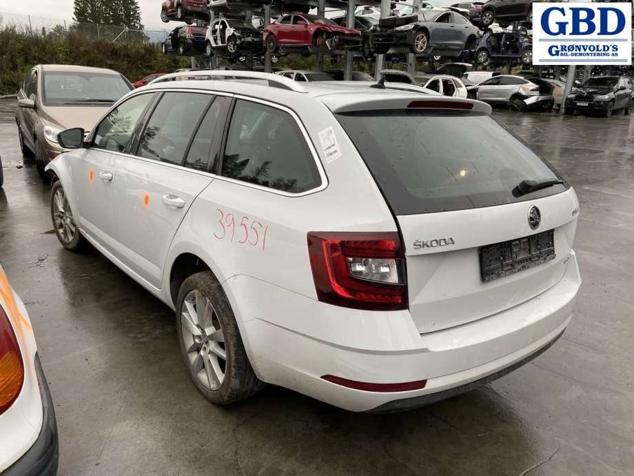 Škoda Octavia, 2017-2020 (Type III, Fase 2) (5Q0 615 424 B)