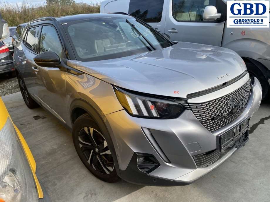 Peugeot e-2008, 2019- (98 271 325 XT)