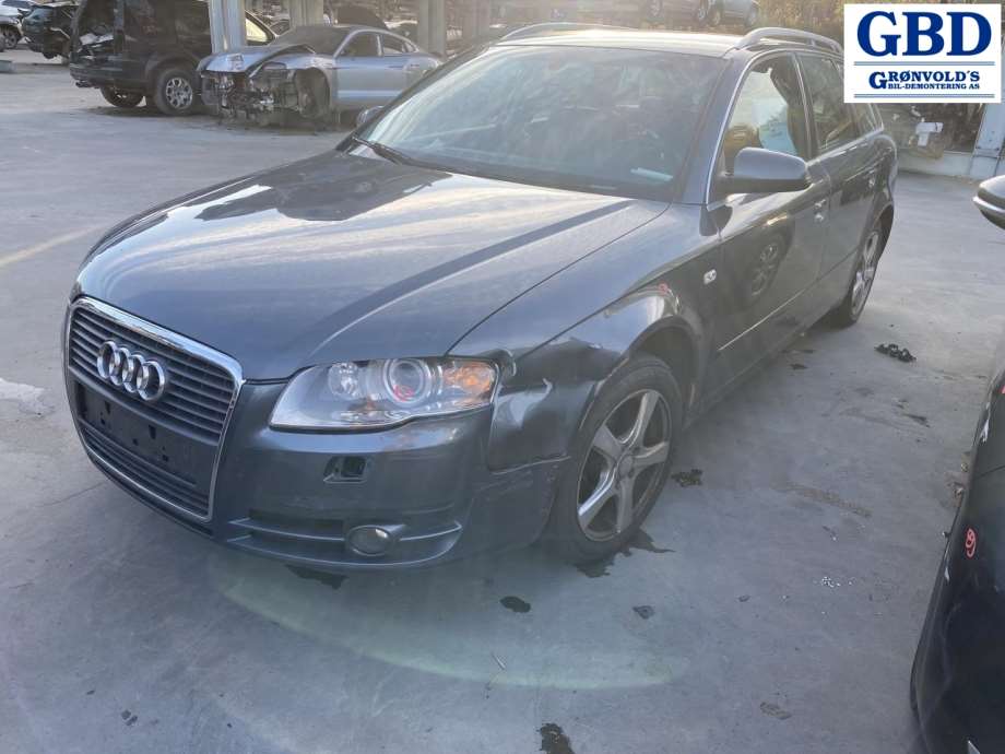 Audi A4, 2004-2008 (Type III) (B7) (8E1 858 531 AA)