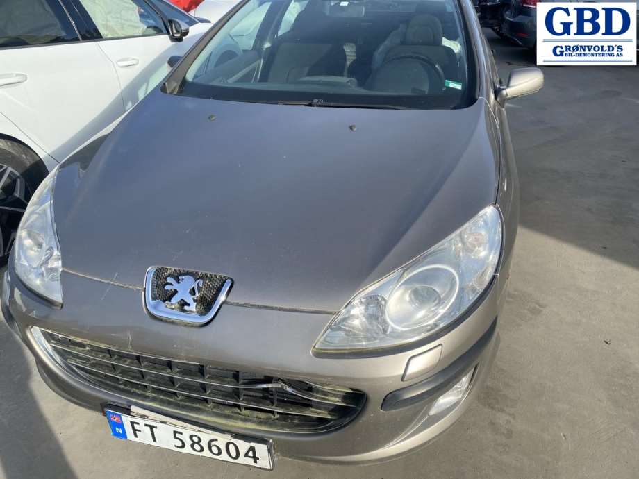 Peugeot 407, 2004-2010 (8149 VF)