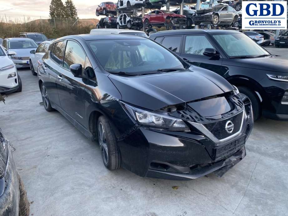 Nissan Leaf, 2018- (Type II) (410015TA0A)