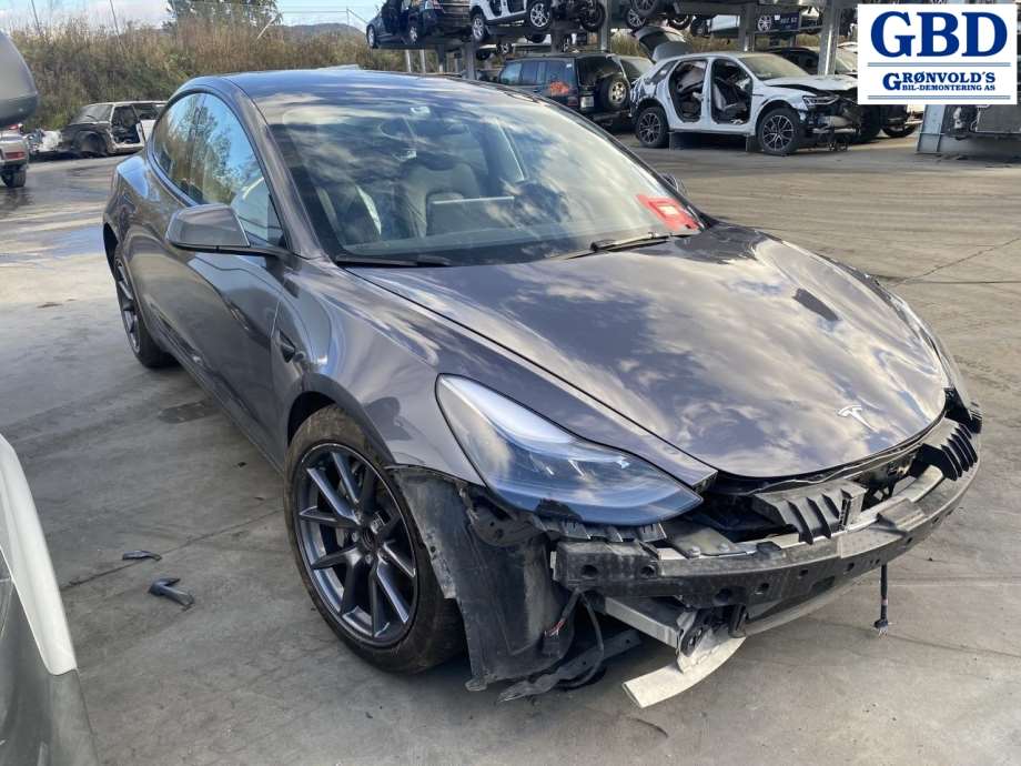 Tesla Model 3, 2018-2023 (Fase 1) (1100437-00-E|1092978-00-C)