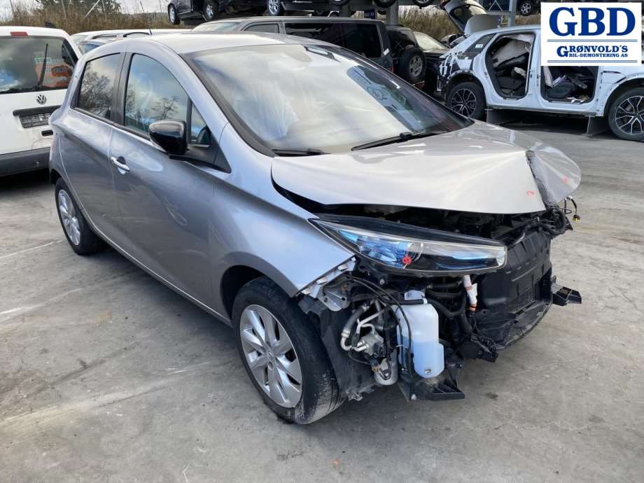 Renault Zoe, 2013-2019 (Fase 1) (963019461R)