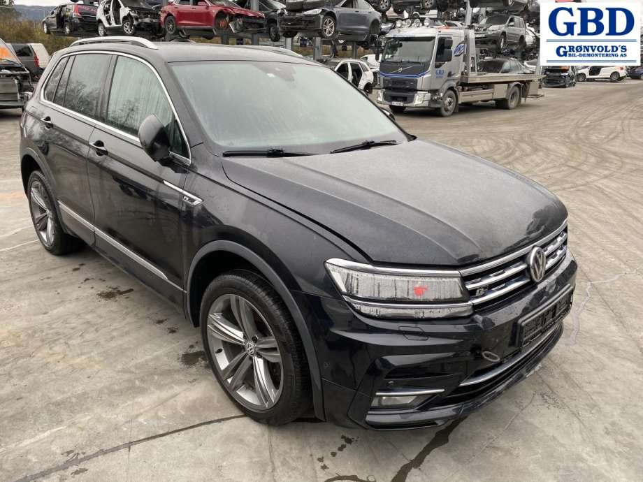 VW Tiguan, 2016-2020 (Type II, Fase 1) (5Q0 959 595 E|5Q0 959 595 B)