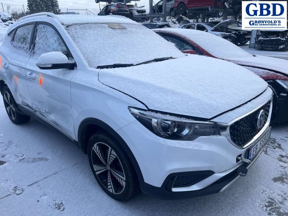 MG ZS EV, 2019- (10568621)