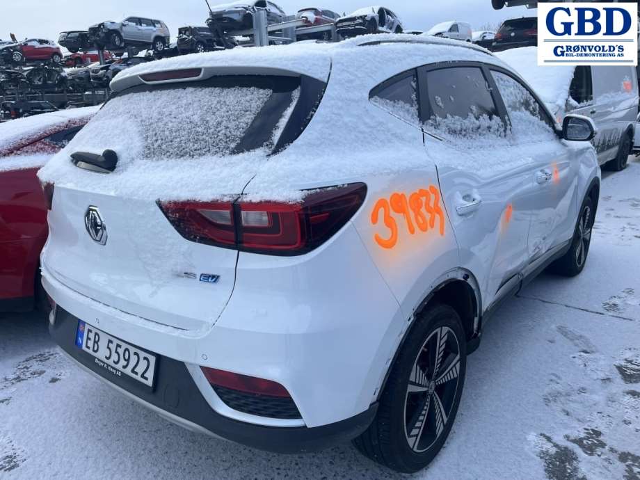 MG ZS EV, 2019- (10568621)