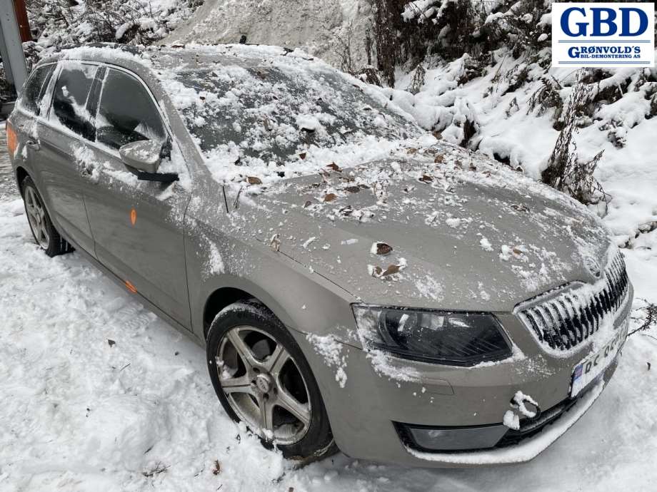 Škoda Octavia, 2013-2016 (Type III, Fase 1) (04E 903 023 J)