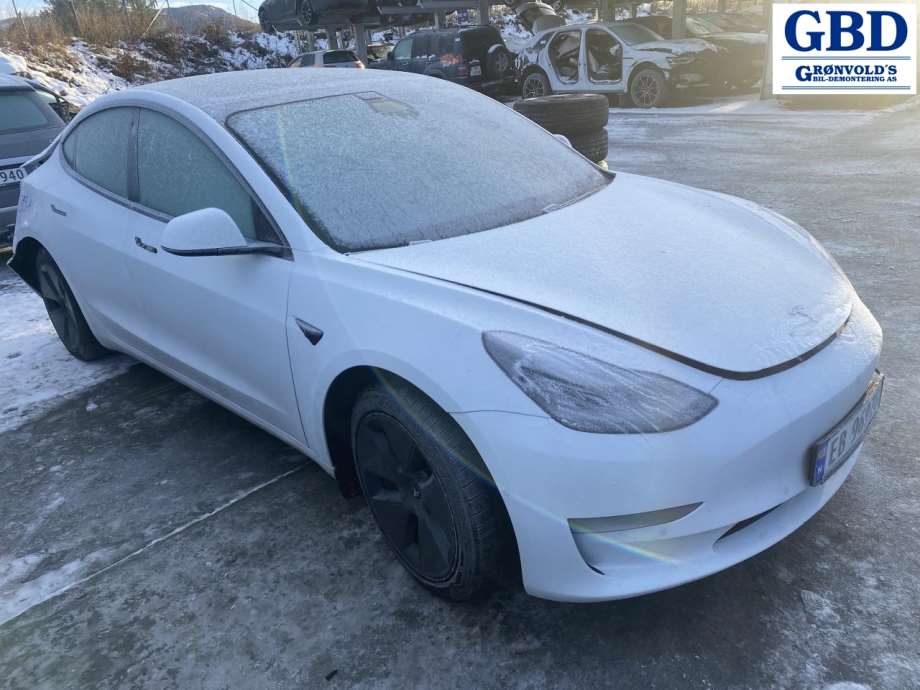 Tesla Model 3, 2018-2023 (Fase 1) (1095949-00-E)