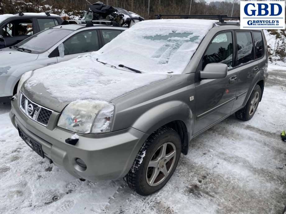 Nissan X-Trail, 2002-2007 (T30) (K6302EQ04C|K6302EQ470)