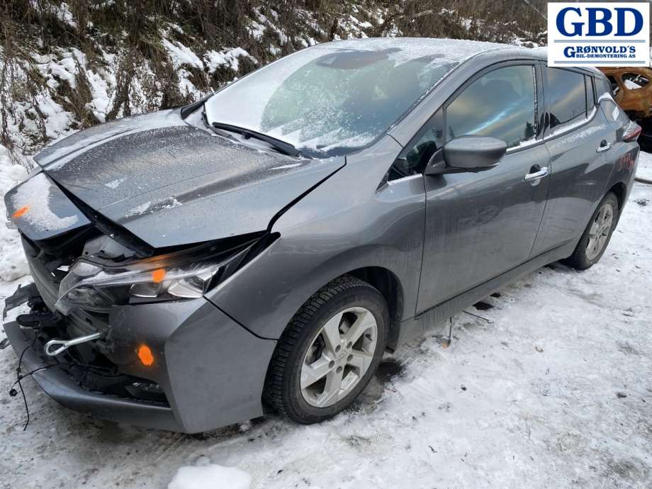 Nissan Leaf, 2018- (Type II) (410115TA0A)