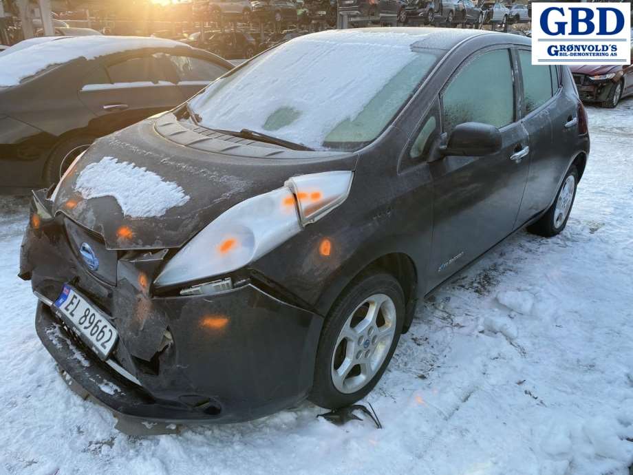 Nissan Leaf, 2011-2017 (Type I) (963024NC0C)