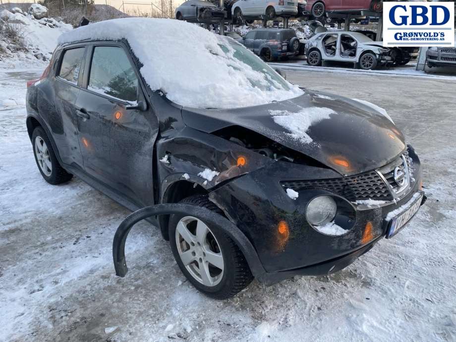 Nissan Juke, 2010-2014 (Fase 1) (41001EN00B|41001ET00A)