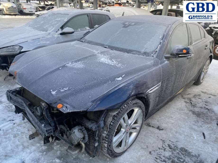 Jaguar XE, 2015- (C2D56291|CPLA19D629BH|C2D45382| CPLA19D629BG)