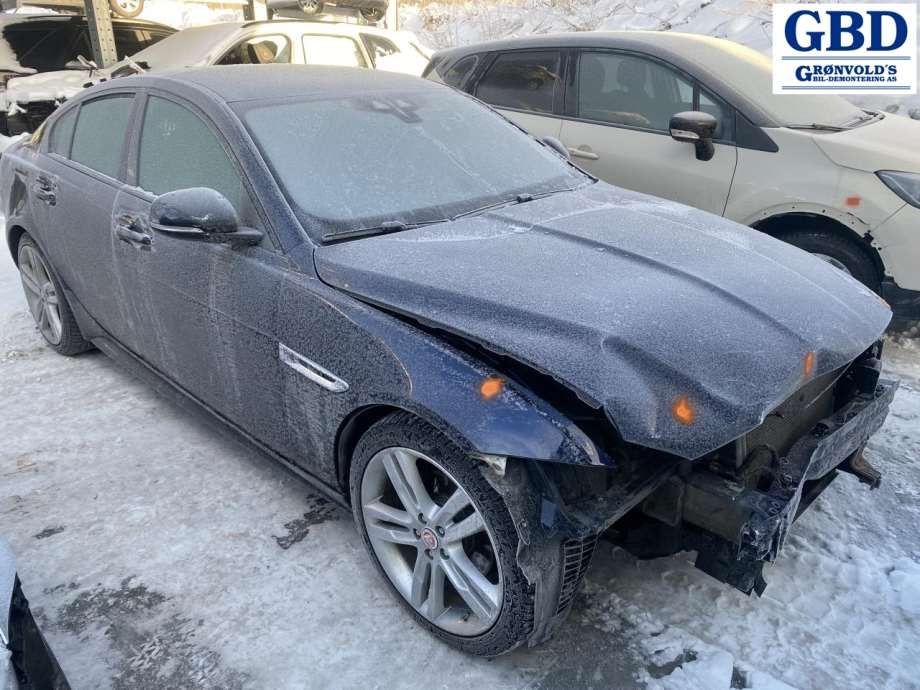 Jaguar XE, 2015- (C2D56291|CPLA19D629BH|C2D45382| CPLA19D629BG)