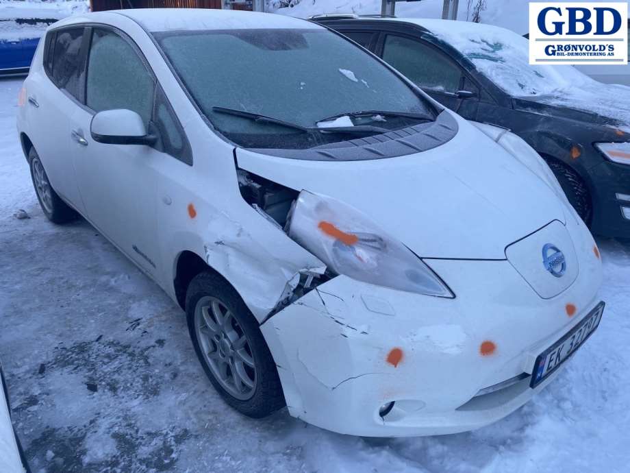 Nissan Leaf, 2011-2017 (Type I) (H01523NLMA)