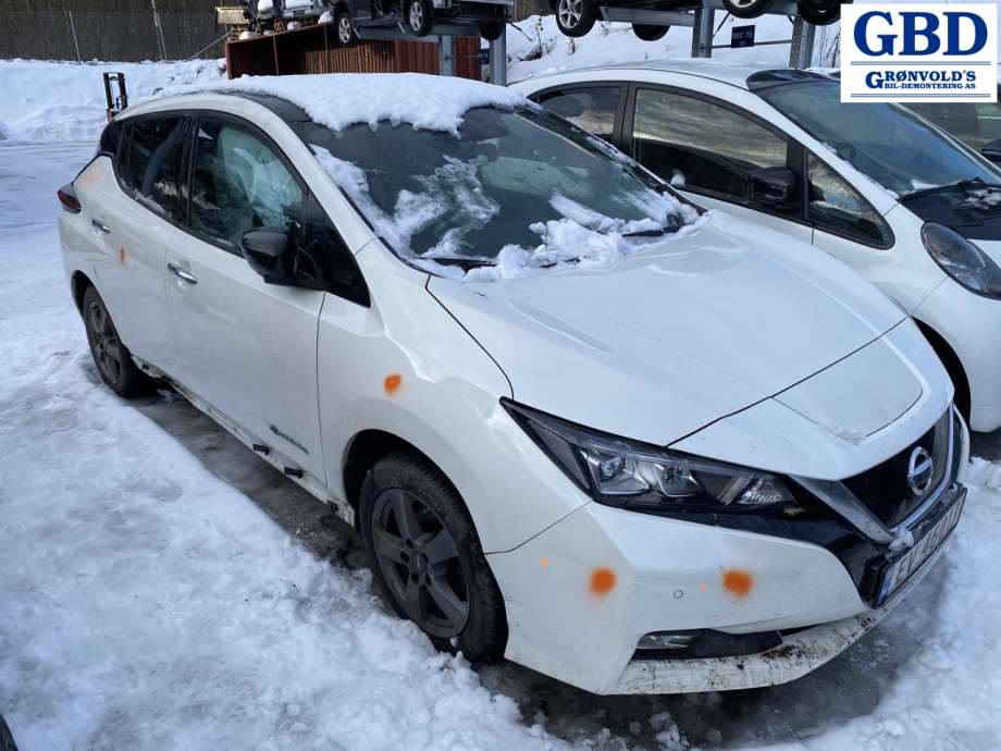 Nissan Leaf, 2018- (Type II) (410015TA0A)