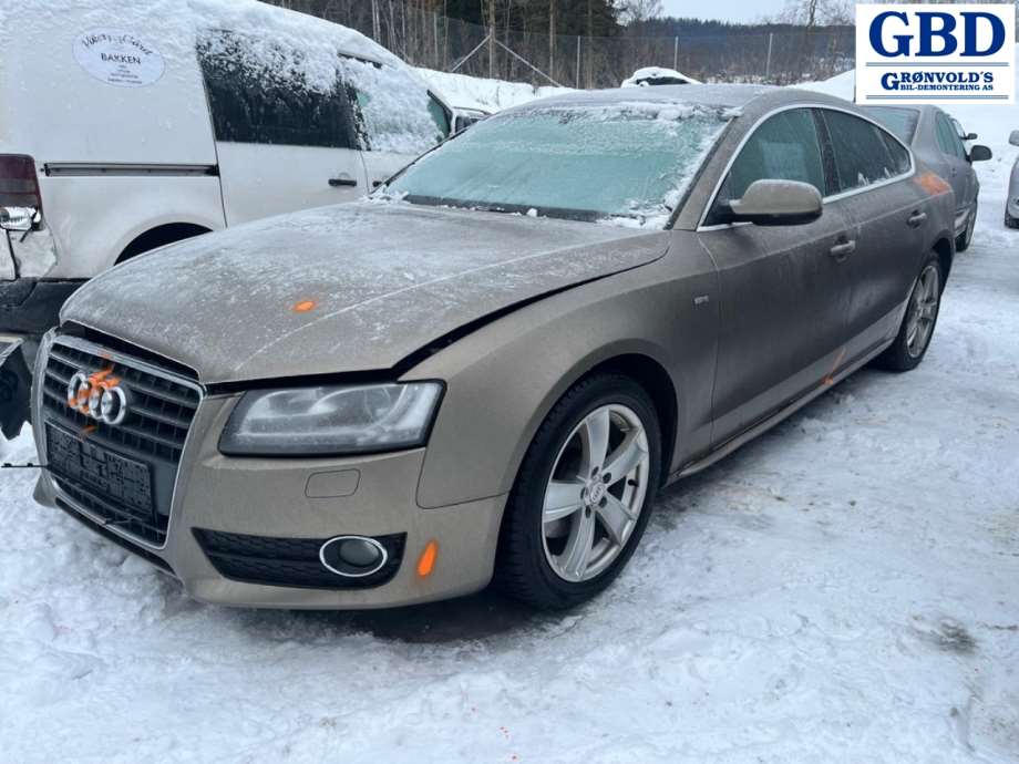 Audi A5, 2007-2016 (Type I) (LLV|0B1 300 027 E)