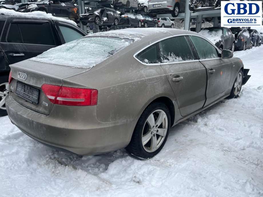 Audi A5, 2007-2016 (Type I) (LLV|0B1 300 027 E)