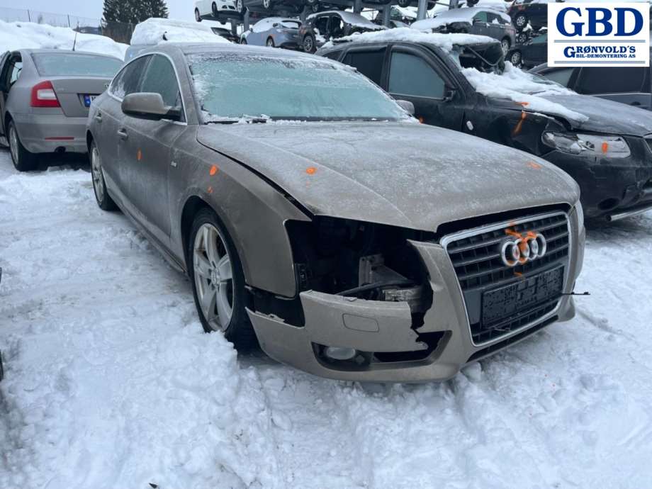 Audi A5, 2007-2016 (Type I) (LLV|0B1 300 027 E)