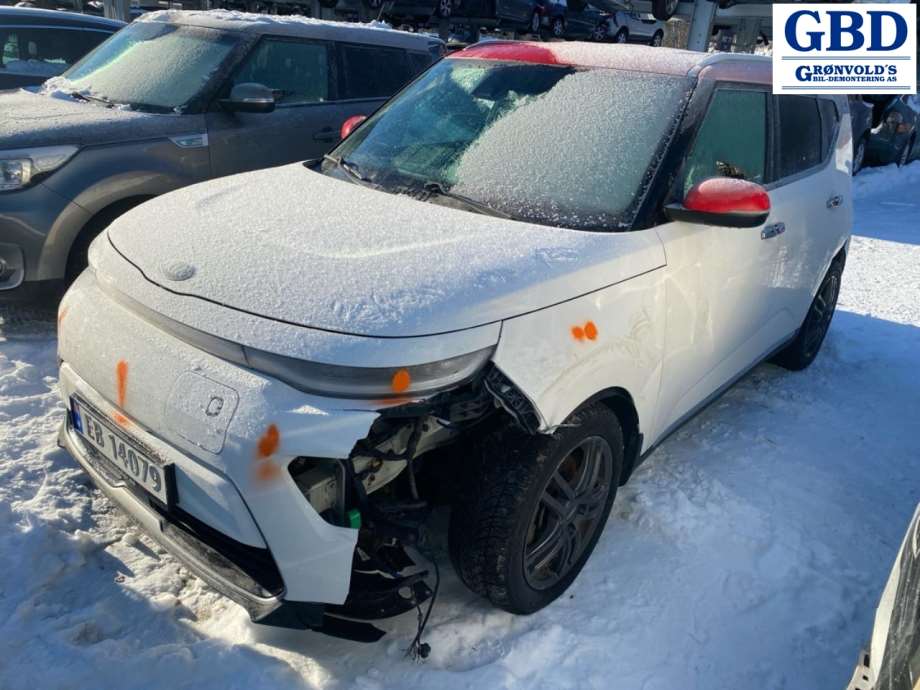 Kia e-Soul, 2019- (Type III) (91887G5531)