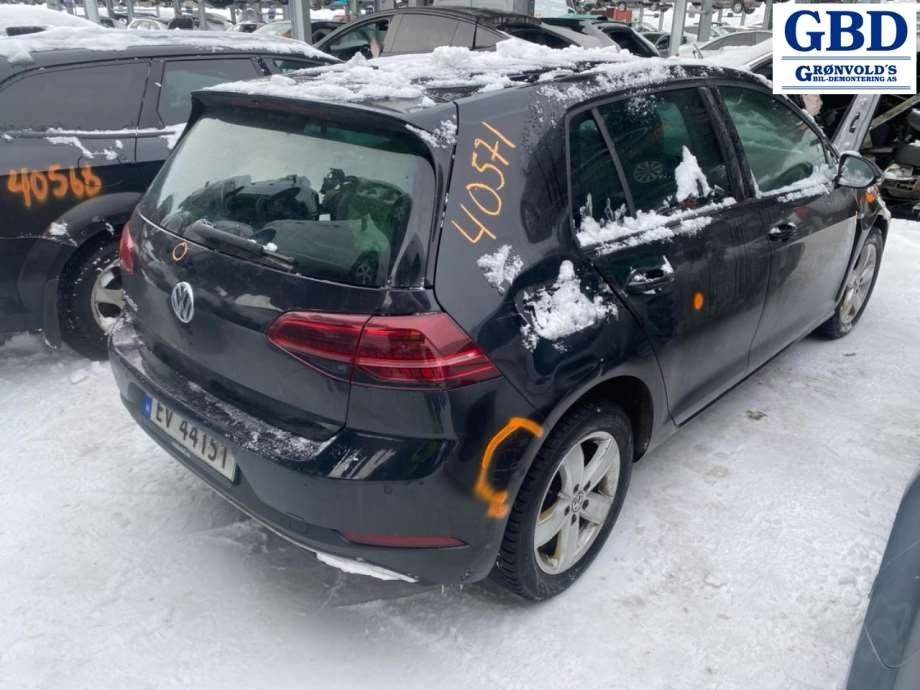 VW e-Golf, 2017-2020 (Fase 2) (5Q0 959 407|0 130 822 695)