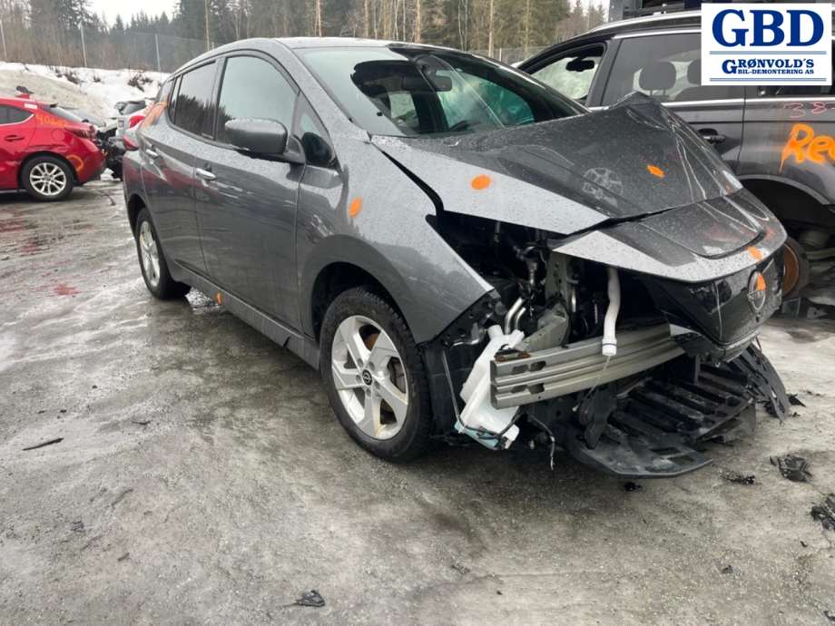 Nissan Leaf, 2018- (Type II) (265505SH1C|265505SH1A)