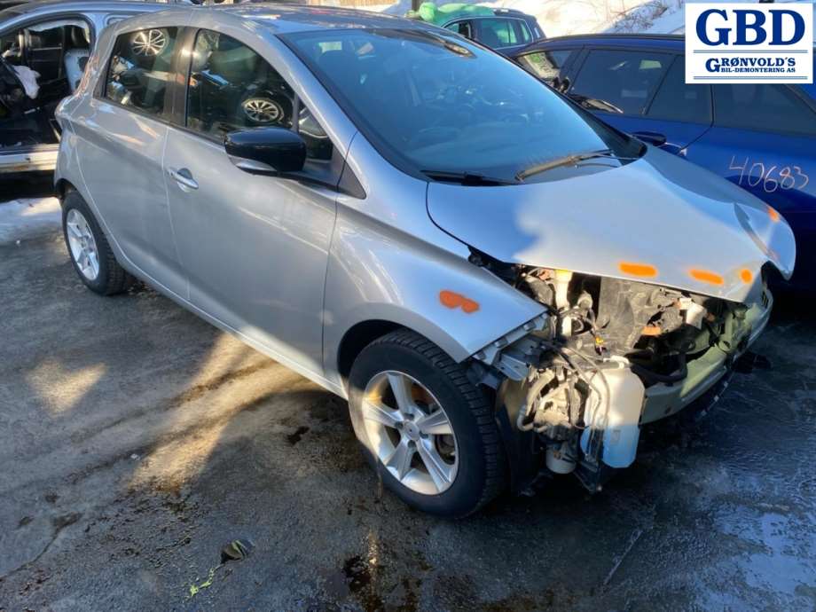 Renault Zoe, 2013-2019 (Fase 1) (265555521R)